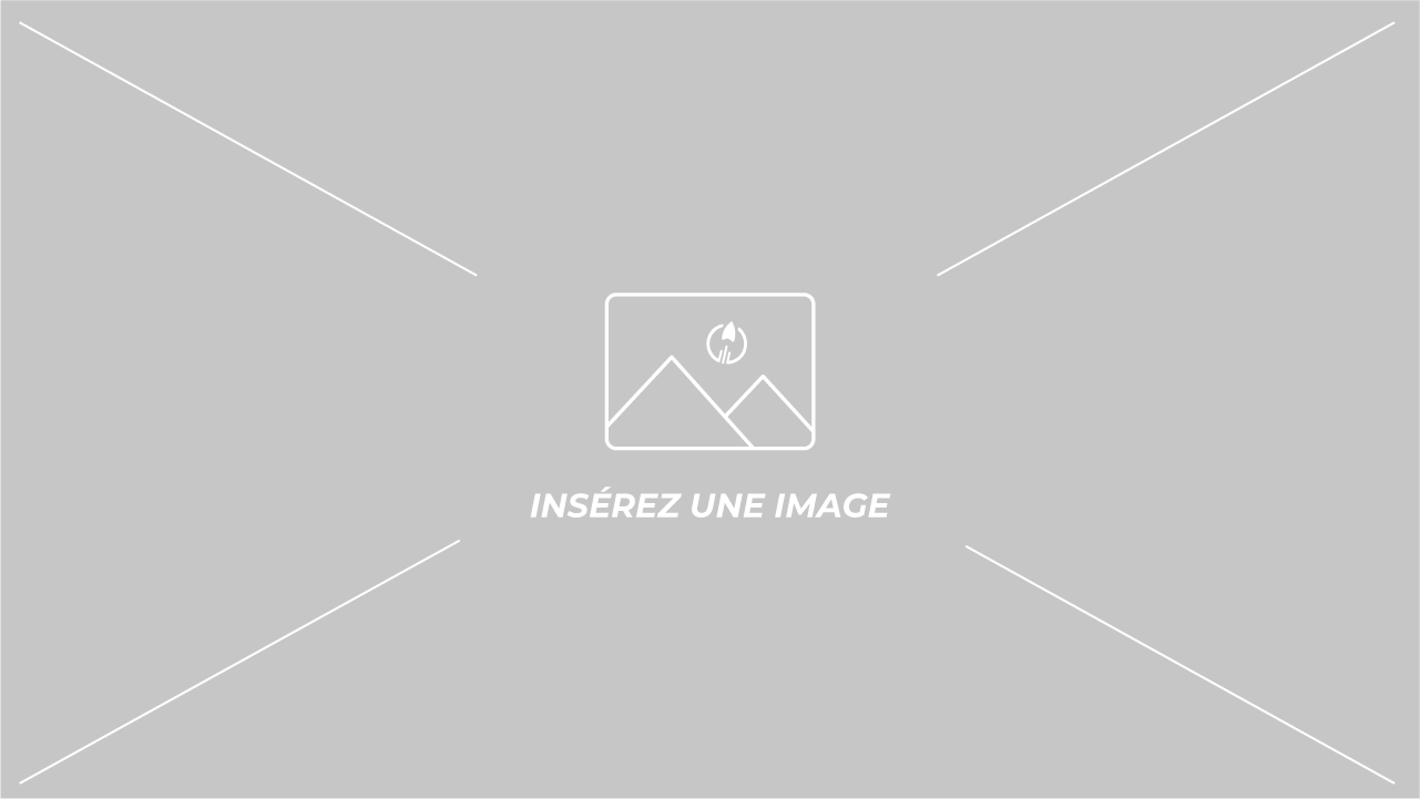 Envoi possible en France